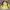Columbia Gorpcore Track jacket Pria yellow photo 2