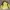 Columbia Gorpcore Track Jacket Pria Yellow
