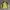 Columbia Gorpcore Track jacket Pria yellow photo 1