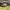 Columbia Gorpcore Track jacket Pria yellow photo 4