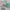 Von Dutch Vintage Hat Pria Multicolor