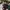 duck dynasty cap photo 4