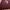 Jeep Vintage Streetwear Sweatshirt Pria burgundy photo 4