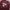 Jeep Vintage Streetwear Sweatshirt Pria burgundy photo 3