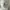 Issey Miyake Luxury Casual Formal shirt Pria white photo 8