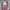 TOPTOY HelloKitty Sanrio Characters Latte Baby Series Figure