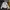 Japanese brand Lolita Cosplay Shirt Wanita white black photo 1