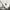 Castelbajac Avant Garde Casual Wanita white photo 4
