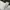 Castelbajac Avant Garde Casual Wanita white photo 5