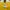 Russell Athletic Vintage Sportswear T-shirt Pria yellow photo 7