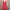 Twenty8Twelve Red Dress photo 1