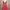 Twenty8Twelve Red Dress