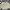 Japanese Brand Streetwear Casual Bomber Jacket Pria Tan