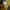 Nike Casual Sweatshirt Pria yellow photo 5