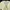 Japanese brand Y2K Cosplay Cardigan Wanita yellow photo 2
