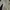 Japanese brand Y2K Cosplay Cardigan Wanita yellow photo 3
