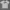 The North Face Sportswear T-shirt Pria gray photo 1