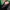 Manhattan Streetwear Gorpcore Bag Pria green photo 7