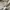 Streetwear Skater Sweatshirt Pria gray photo 6