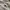 Streetwear Skater Sweatshirt Pria gray photo 4