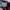 Adidas Casual Sneakers Wanita burgundy white photo 6