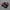 nike tn photo 1