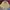 Jantzen Vintage Streetwear Bomber jacket Pria gold yellow photo 3