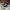 Nike Casual Sneakers Pria white black photo 3