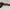 Vintage Sunglass Wanita brown photo 5