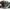 Elizabeth Vintage Y2K Shoulder bag Wanita black photo 4