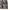 Vintage Y2K Skirt Wanita tan black photo 4