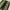 Vintage Y2K Wide leg jeans Wanita black yellow photo 4