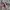 Vans x FOG Slip-On 47 V DX "Red/Black" photo 1