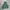 Streetwear Hoody Pria green photo 4