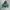 Streetwear Hoody Pria green photo 2