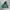 Streetwear Hoody Pria green photo 1