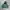 Streetwear Hoody Pria Green