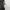 Prada Luxury Shoulder bag Wanita black photo 6