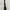 Prada Luxury Shoulder bag Wanita black photo 3