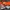 Adidas Casual T-shirt Pria orange photo 8