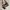 Vivienne Westwood Fairy Coquette Handbag Wanita Pink