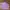 Nike Streetwear Sportswear Hoody Pria purple photo 1