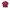 Pelle Pelle Streetwear Skater Casual shirt Pria red photo 1