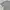 Fear of God ESSENTIALS Casual T-shirt Pria gray photo 5