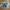 Thanksinsomnia Streetwear Y2K Denim Jacket Pria Blue