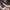 CONVERSE CHUCK TYLOR 70 AT-CX Hi (Black Eternal Earth) photo 1