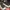 CONVERSE CHUCK TYLOR 70 AT-CX Hi (Black Eternal Earth)
