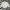 Burberry Streetwear Casual Bomber jacket Pria cream photo 1
