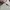 Burberry Streetwear Casual Bomber jacket Pria cream photo 6