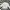 Burberry Streetwear Casual Bomber jacket Pria cream photo 2